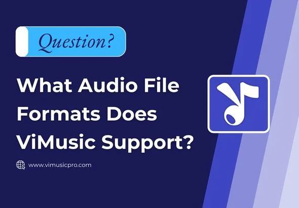 What Audio File Formats Does Vimusic Support