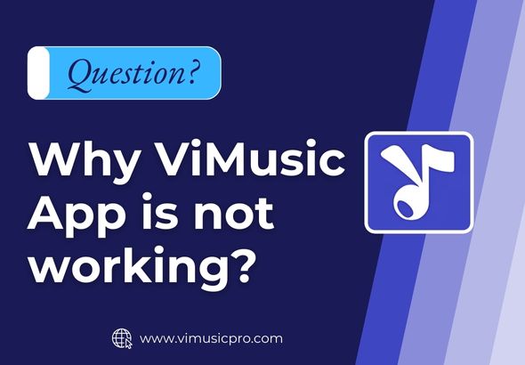 Why-ViMusic-is-not-working